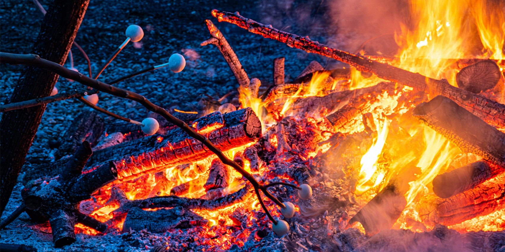 写真：どんど焼き（青根）