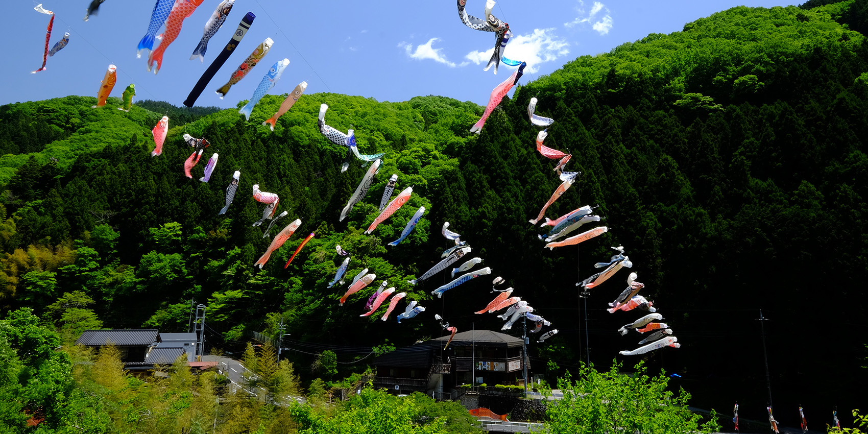 写真：こいこいまつり（和田の里）