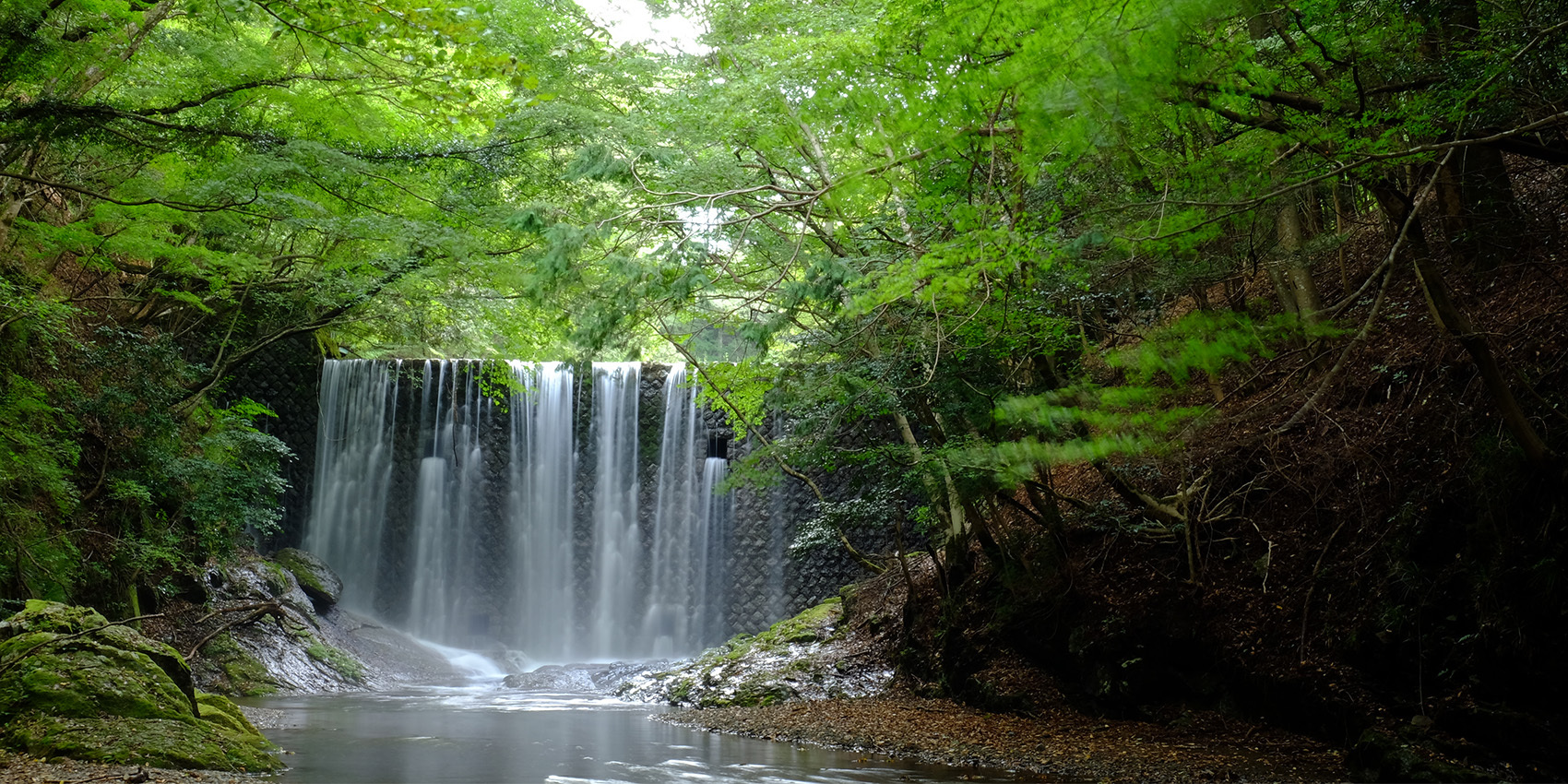 写真：松茸山自然の森公園