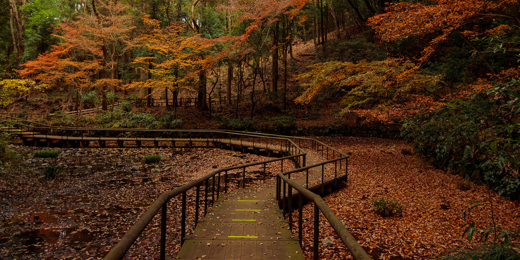 写真：道保川公園