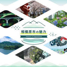 相模原市の魅力イメージ　画像