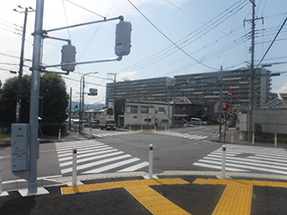 南西側整備済（巻込部）の写真