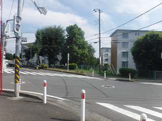 南東側未整備（巻込部）の写真