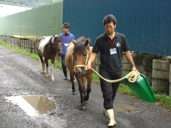 乗馬プログラム