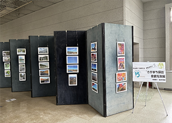 相模原公園ギャラリーみどり写真