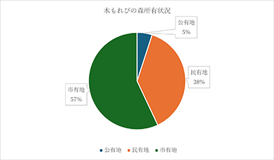 木もれびの森の土地所有状況（令和8年3月1日現在）の円グラフ