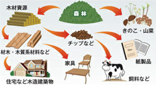 林産物の供給のイメージ