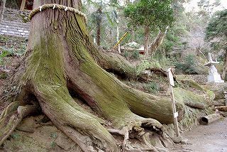 写真：石老山