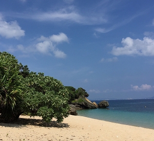 夏の海の写真