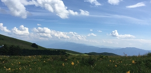 青空と山の景色の写真