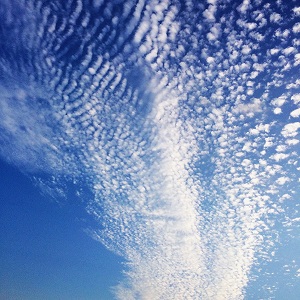 うろこ雲の写真