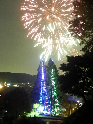 つくい湖湖上祭とイルミネーションの写真