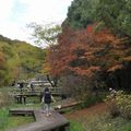 道保川公園の写真