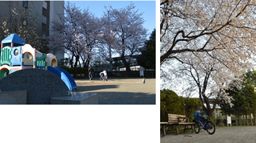 相模原駅前公園の写真