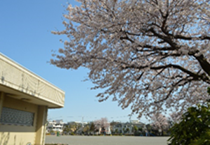 田名小学校