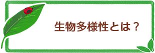 生物多様性とは？