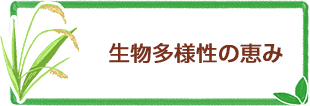 生物多様性の恵み