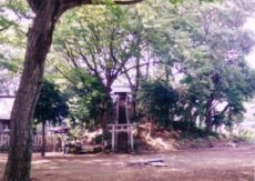 写真：新田稲荷神社の呼ばわり山