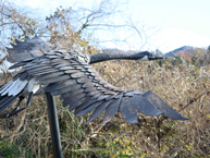 藤野芸術の道（カナダ雁）の拡大写真を表示