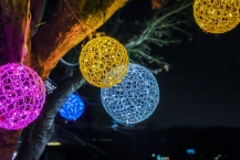 花の苑地の木に咲いていた光の花（津久井湖）（2025年12月撮影分）の拡大写真を表示