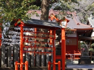 初詣、絵馬に願いを込めて(村富神社)(2026年1月撮影分)の拡大写真を表示