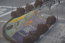 大花壇(相模原麻溝公園)(2026年1月撮影分)の拡大写真を表示