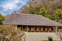 相模原市古民家園と小さな梅の木の拡大写真を表示