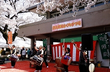 津久井湖桜まつり　花の苑池の拡大写真を表示