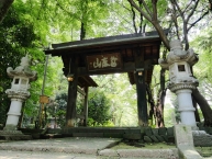 真夏の無量光寺　山門前にての拡大写真を表示