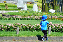 トンボとりの男の子（県立相模原公園）（2025年8月撮影分）の拡大写真を表示