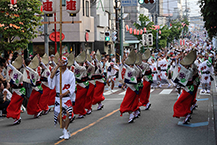 東林間サマーわぁ！ニバル（2025年8月撮影分）の拡大写真を表示