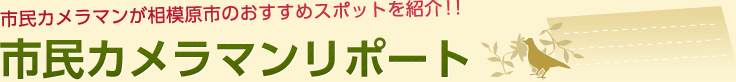 市民カメラマンリポート　市民カメラマンが相模原市のおすすめスポットを紹介！！