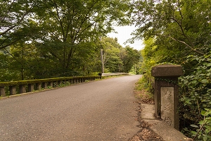 沢山の自然ときれいな道志川の河原で2