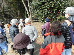 観察会の写真