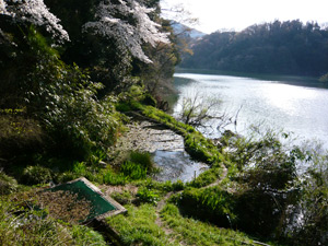 写真：沼本地区2