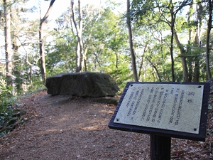 写真：試岩