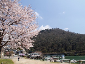 相模湖の写真1