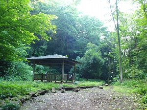 横山丘陵緑地とてるて姫の里ロマン探訪の小路の写真2