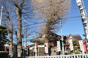 田名八幡宮の写真1