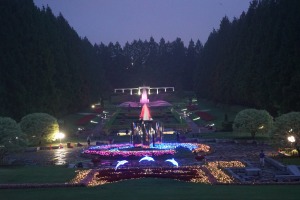 相模原公園ライトアップの様子の写真（全体）