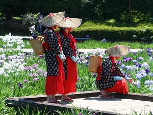 「しょうぶ娘」の写真