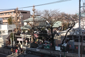 東林間神社の写真2