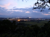 写真：「八景の棚」と「さいかちの木」（田中将司さん）