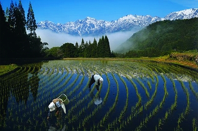 「青鬼の春」