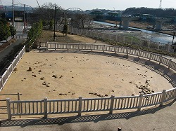 史跡田名向原遺跡（たなむかいはらいせき）の写真