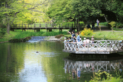 道保川公園の写真