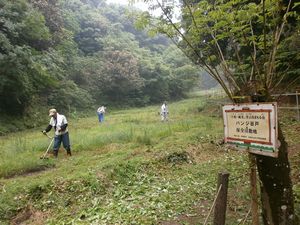 里山の草刈りをしている写真