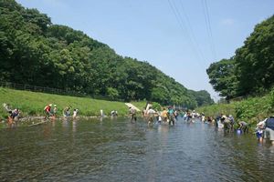 境川で活動をしている写真