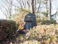 写真：航空神社からの素敵な展望