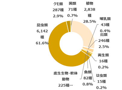 円グラフ